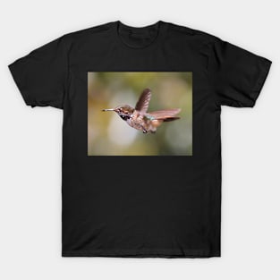 Scintillant Hummingbird T-Shirt